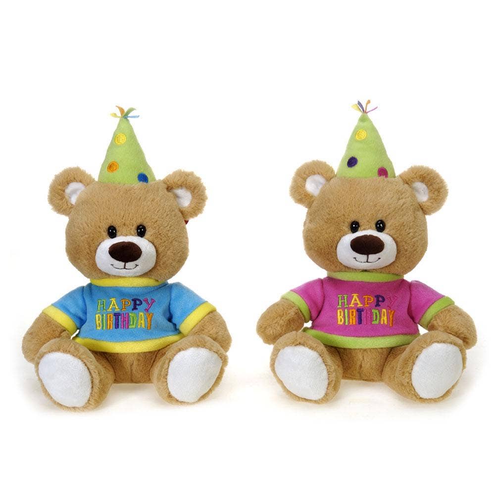 Happy Birthday Bear - 10 inch