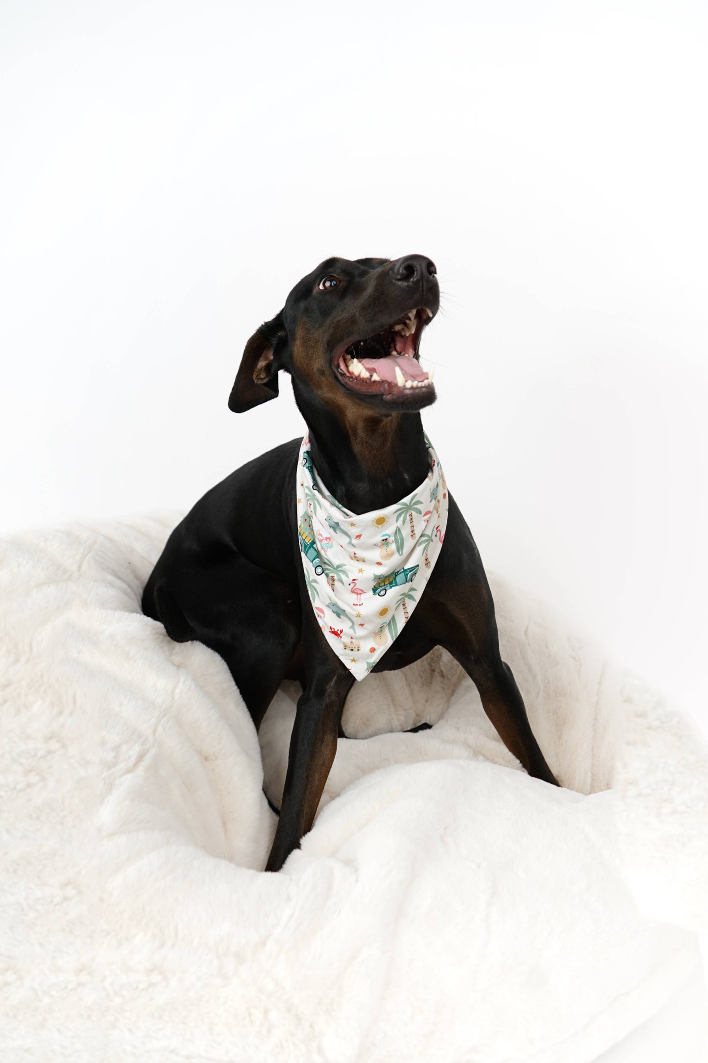 Coastal Christmas Bamboo Pet Bandana