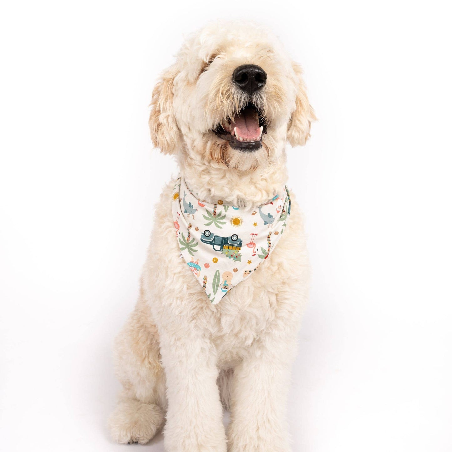 Coastal Christmas Bamboo Pet Bandana