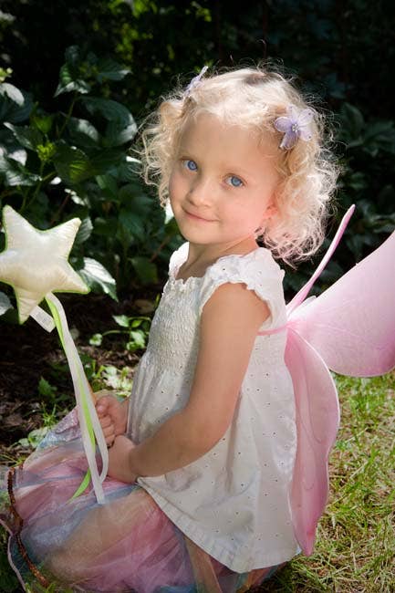 Magical Mini Fairy Wings