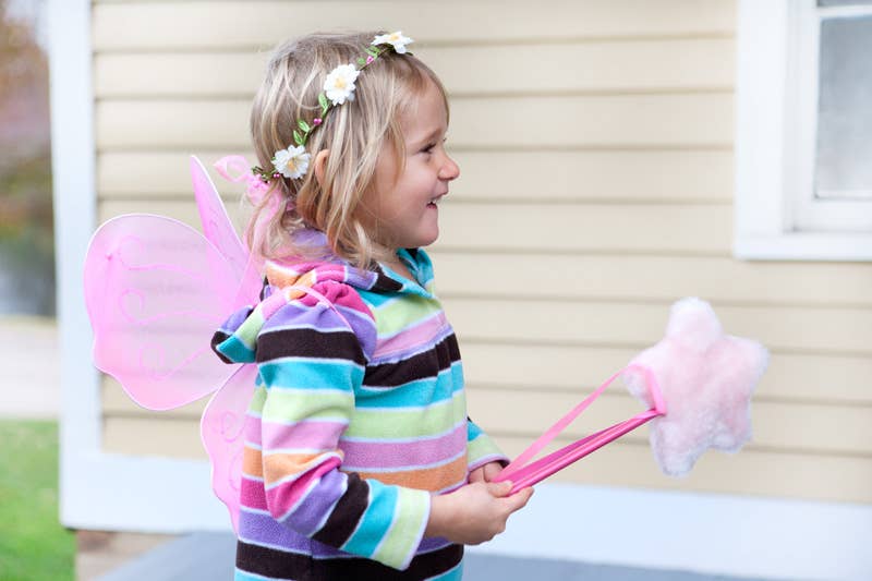 Magical Mini Fairy Wings