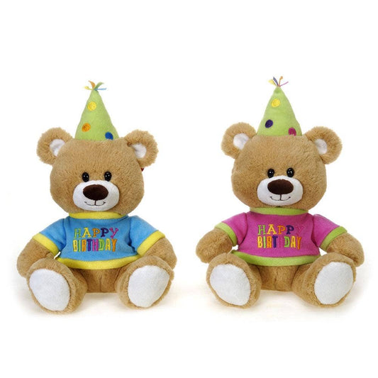 Happy Birthday Bear - 10 inch