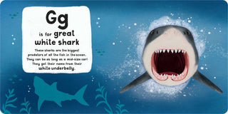 A-Z of Sharks by Editors of Silver Dolphin Books