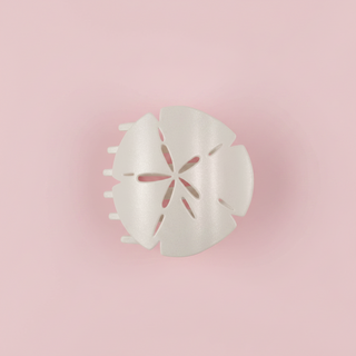 Sand Dollar | Small | Flat Shape Hair Clip