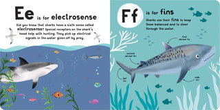 A-Z of Sharks by Editors of Silver Dolphin Books