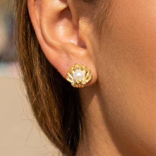Pearl Center Scallop Shell Stud Earrings