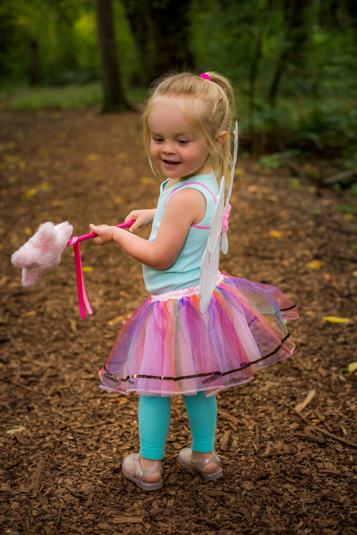 Magical Mini Fairy Wings