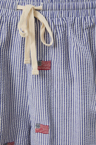 Stripe Flag Embroidered Shorts