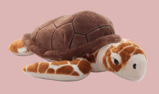 16" Loggerhead Sea Turtle