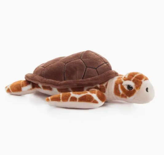 16" Loggerhead Sea Turtle