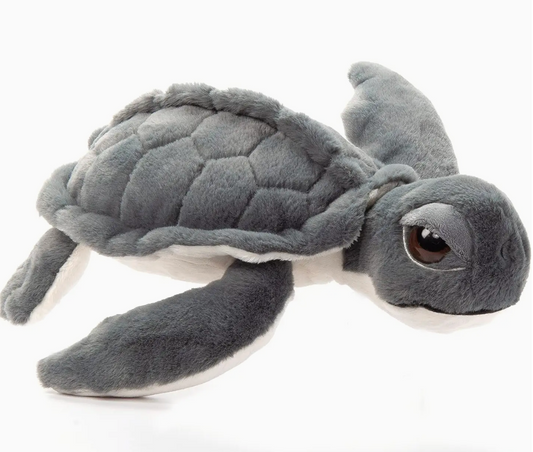 15" Kemp Ridley Sea Turtle
