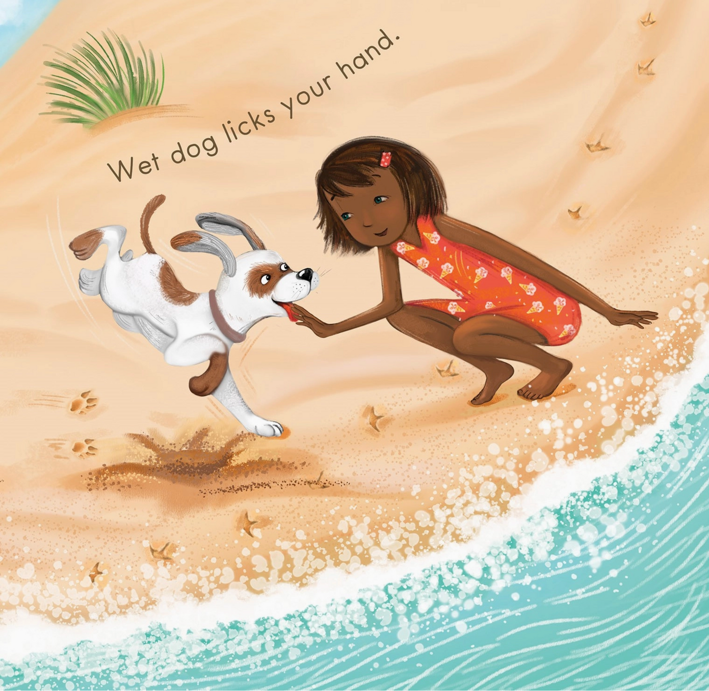 Sandy Feet! Who's Feet? Book