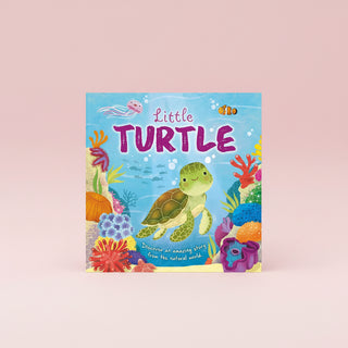 Nature Stories: Little Turtle-Discover an Amazing Story from the Natural World by IglooBooks