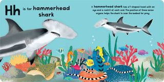 A-Z of Sharks by Editors of Silver Dolphin Books
