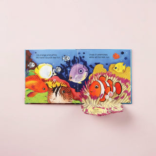 Guess Who Ocean Friends by Jodie Shepherd