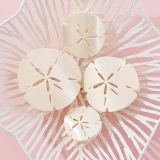 Sand Dollar | Tiny | Flat Shape Hair Clip